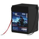 NRG AGM Motorradbatterie 6N4-2A-4 4,5Ah 6V