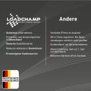 Loadchamp Sinus Wechselrichter 2000W 12V Inverter image